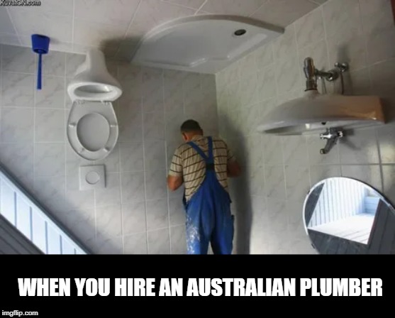plumber meme